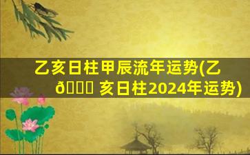 乙亥日柱甲辰流年运势(乙 🍀 亥日柱2024年运势)